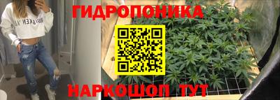 шишки Рязань