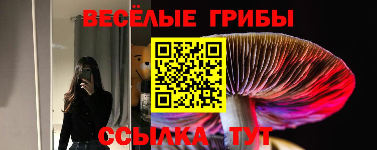 Москва  Псилоцибиновые грибы мицелий  закладка  Вход с VPN  Псилоцибиновые грибы Psilocybe 